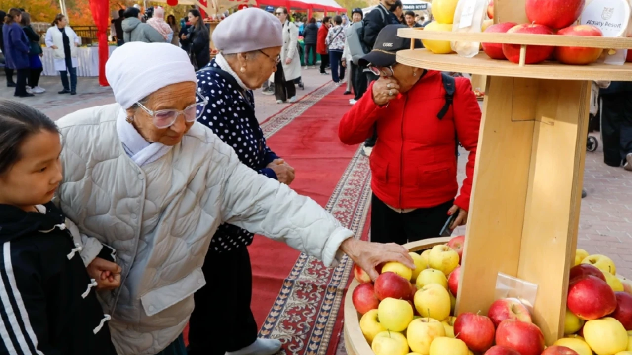«Almaty Resort» шипажайында алма фестивалі өтті
