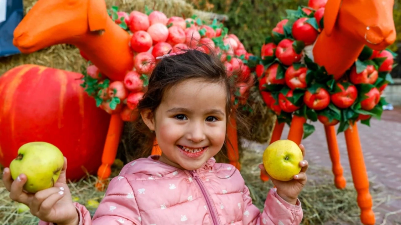 «Almaty Resort» шипажайында алма фестивалі өтті