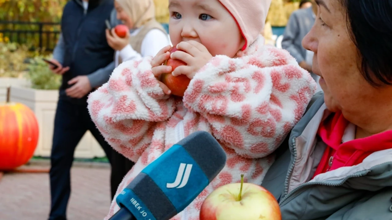 «Almaty Resort» шипажайында алма фестивалі өтті