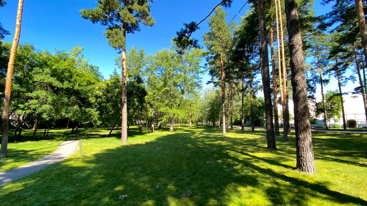 Зачем здоровому человеку отдых в санатории? 