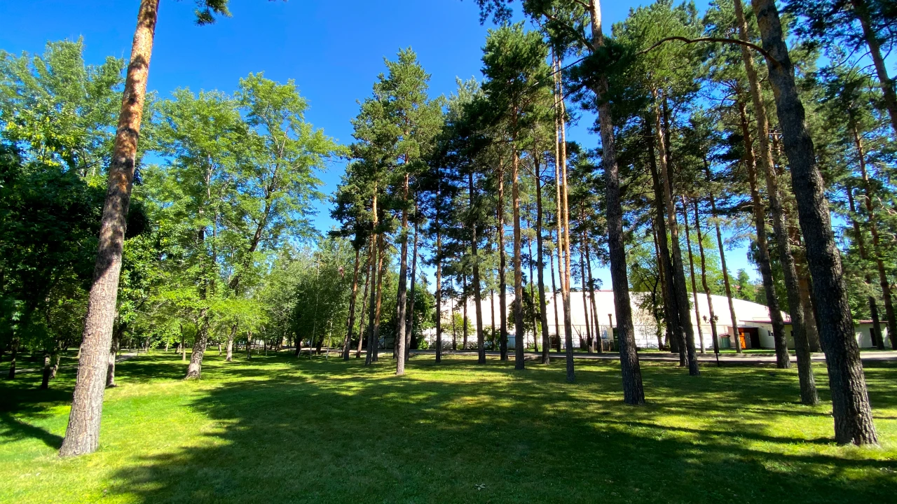 Почему санаторный отдых не уступает морскому курорту 